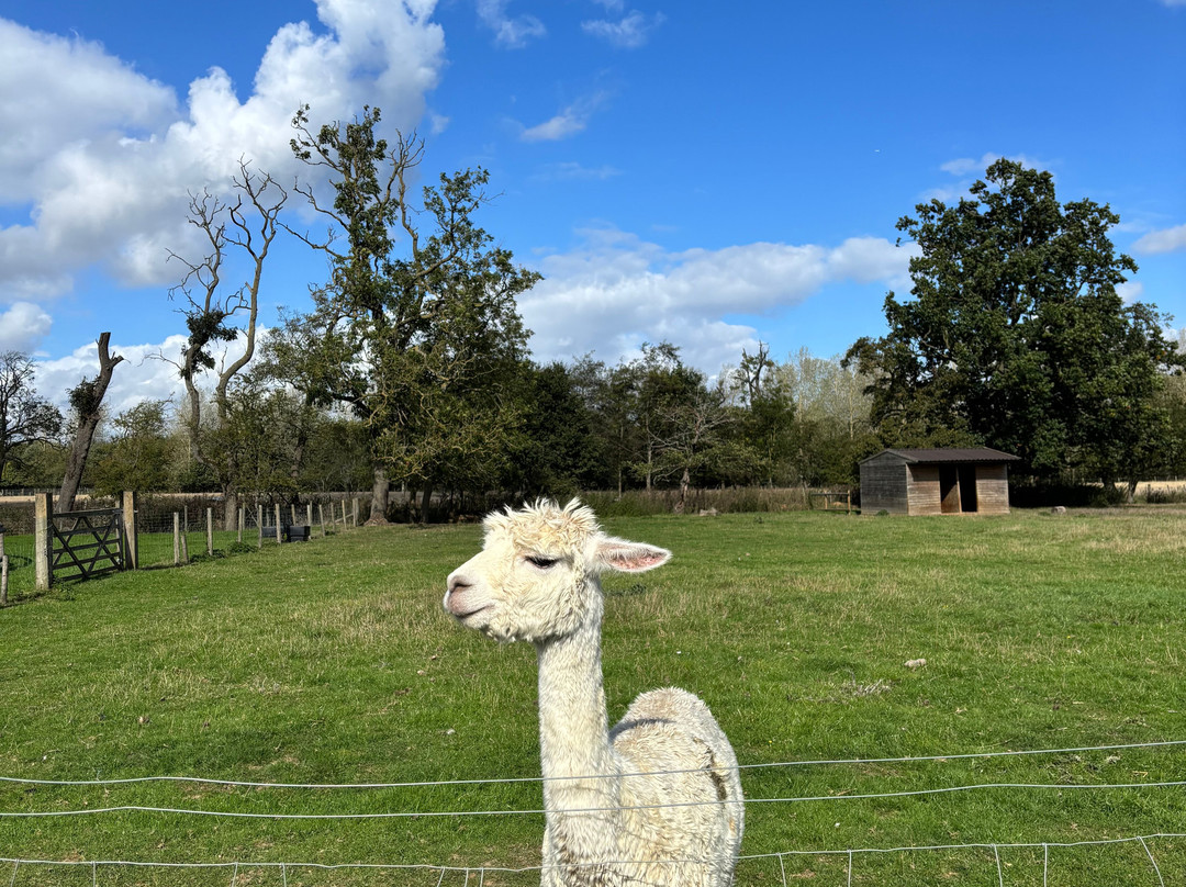 Monk Park Farm-Bagby必去景点