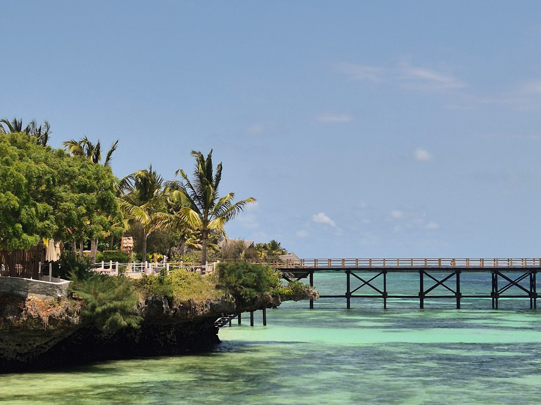 Bwejuu Snorkeling Blue Lagoon Zanzibar tours-桑给巴尔市必去景点