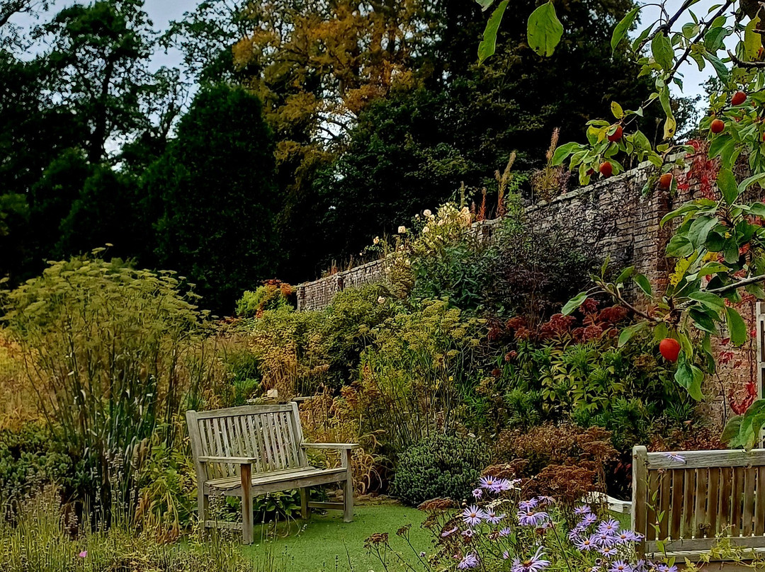 Howick Hall Gardens & Arboretum-阿尼克必去景点