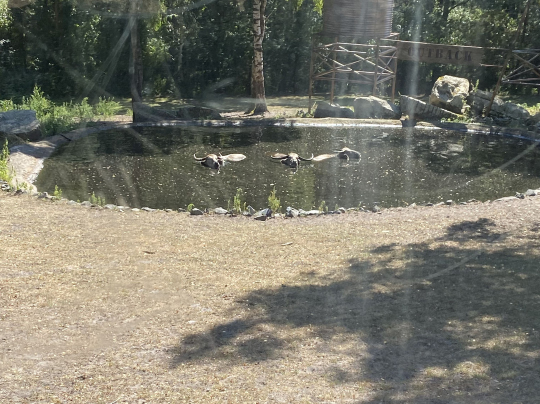 Serengeti-park Hodenhagen-Hodenhagen必去景点