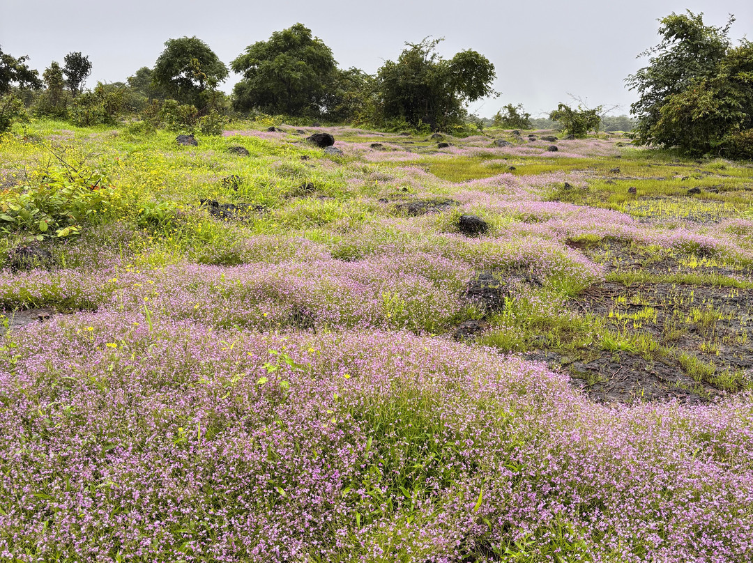 Farm of Happiness Agro Tourism Homestay主图