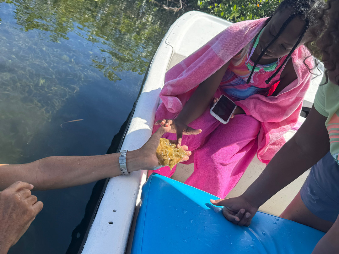 Native Tours Antigua-Seatons必去景点