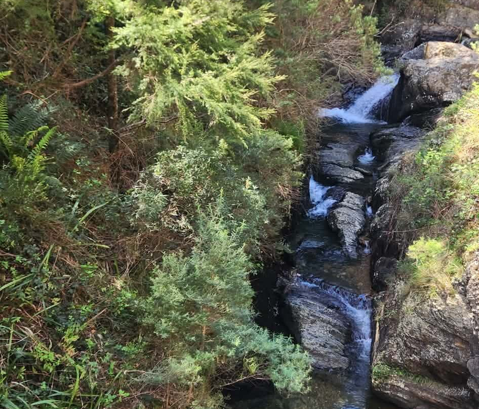 Walhalla Goldfields Railway-Walhalla必去景点