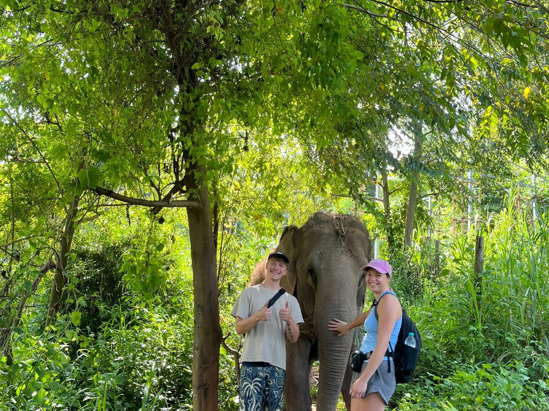 Elephant Sanctuary Care Park-清迈必去景点