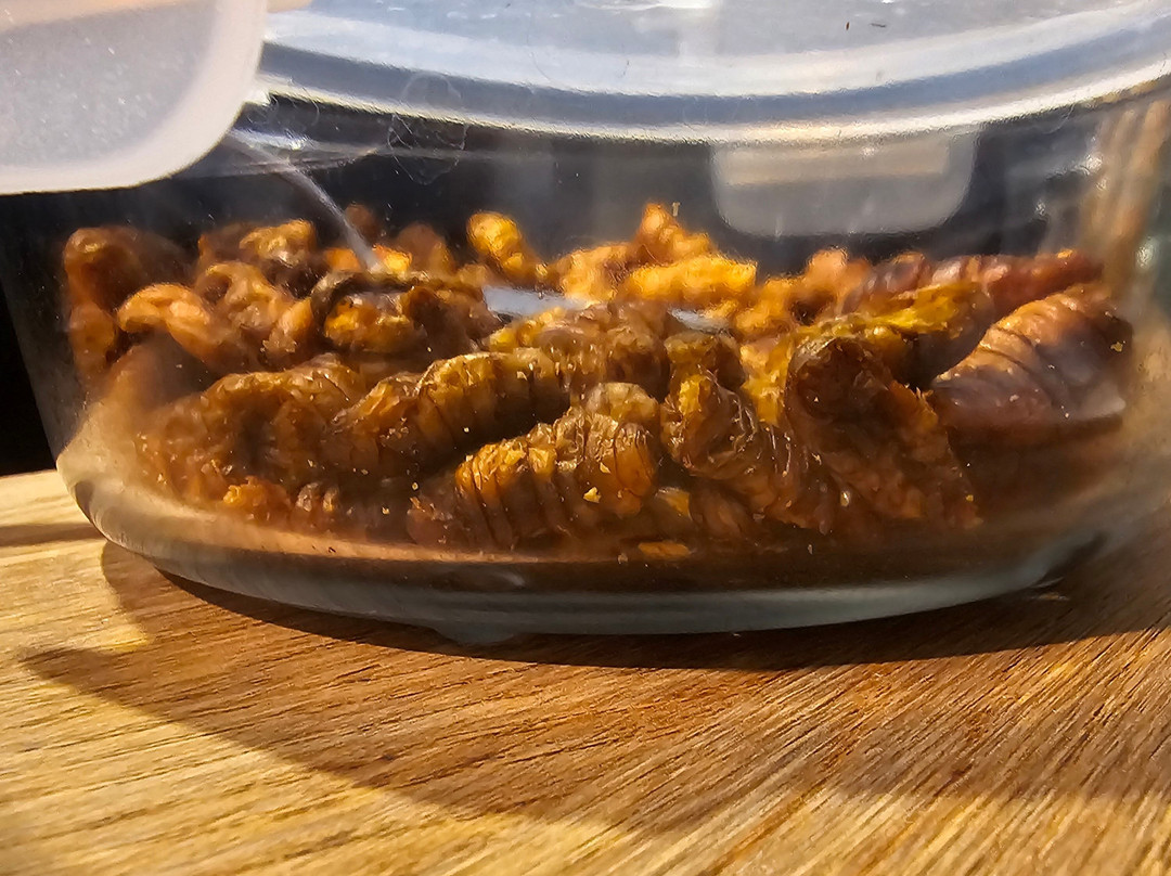 Disgusting Food Museum-马尔默必去景点