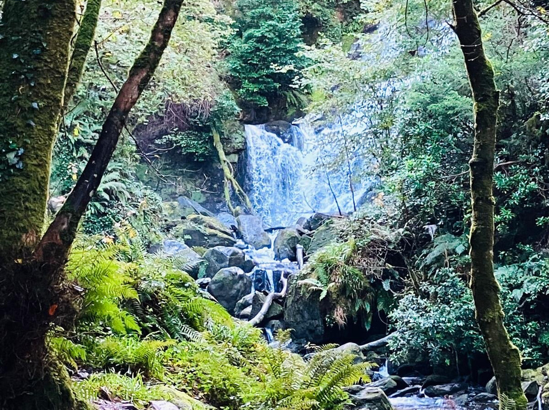 Torc Waterfall-基拉尼必去景点