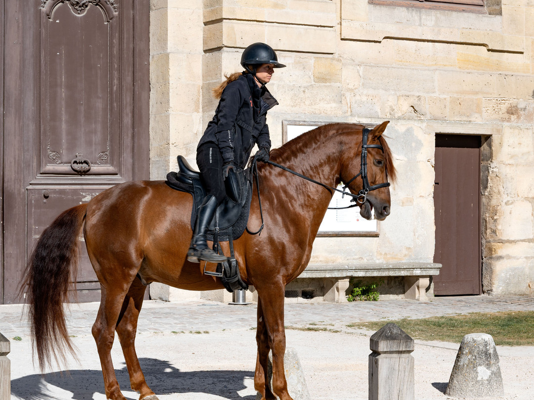 Musée Vivant Du Cheval-尚蒂伊必去景点