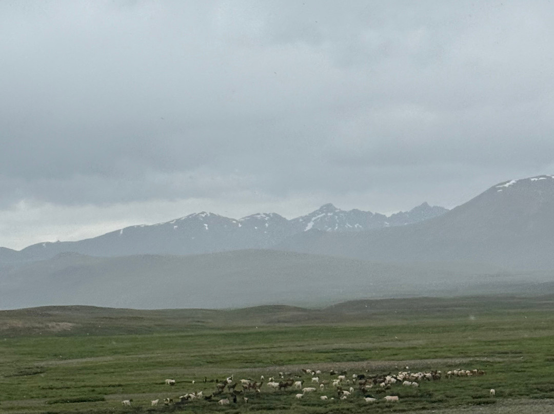 Deosai National Park-Skardu必去景点