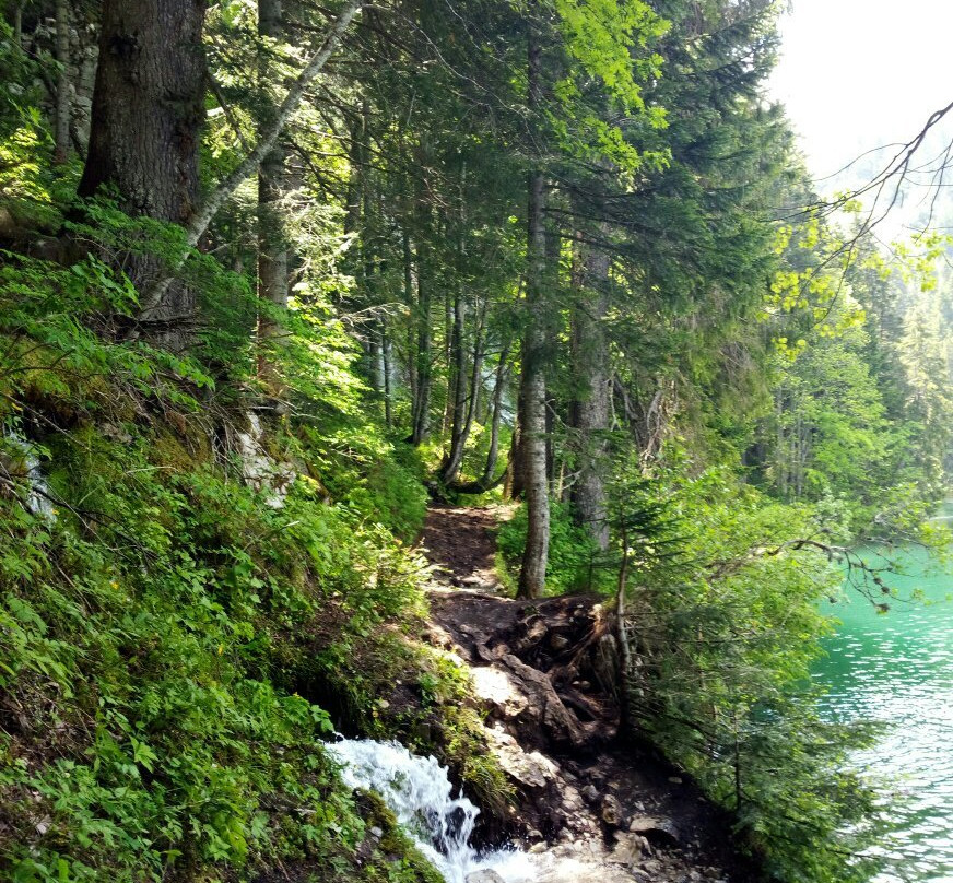 Crno Lake景点图片