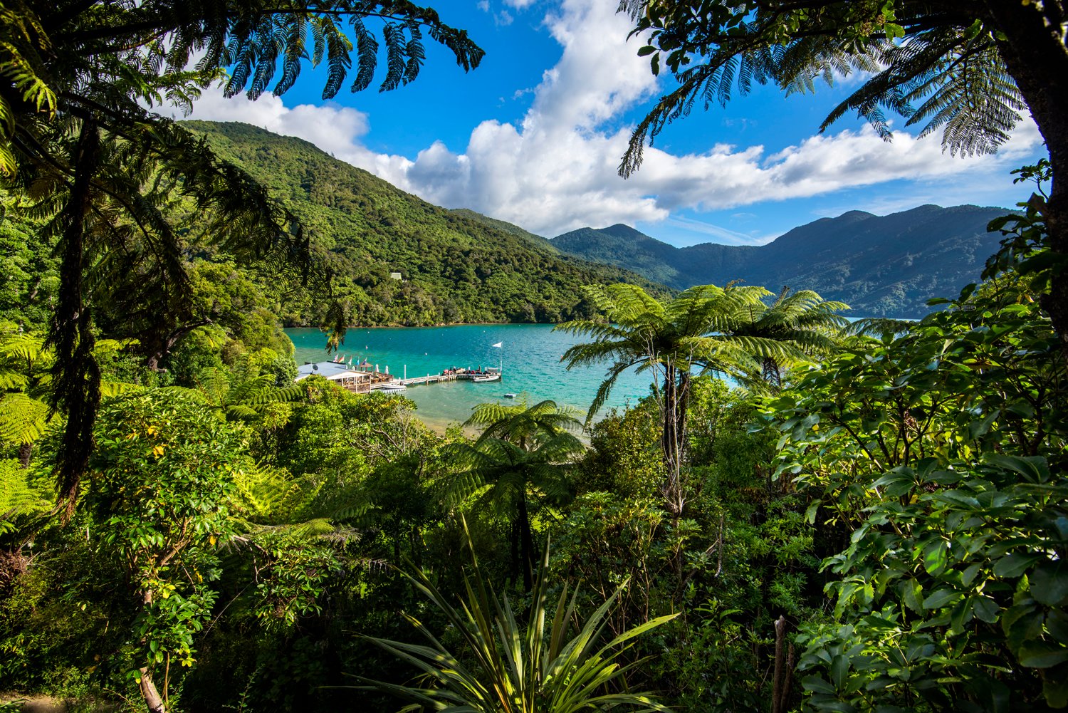 Punga Cove Resort-官方