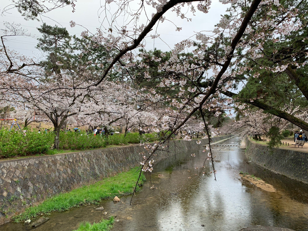 Ashiyagawa Kahan