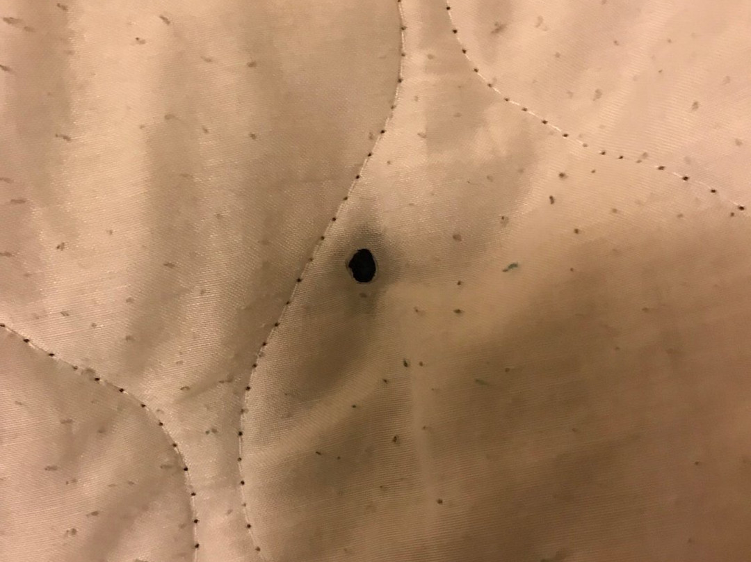 Beaver Meadows旅游攻略图片