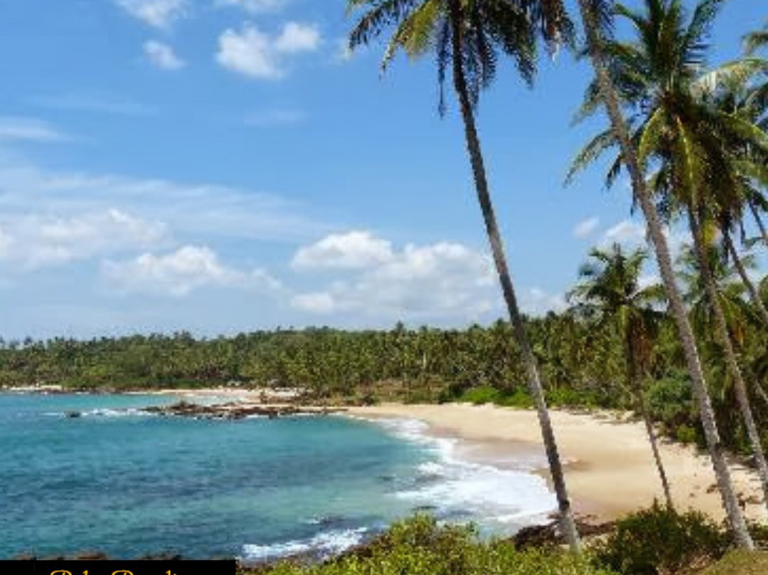 棕榈天堂小屋别墅