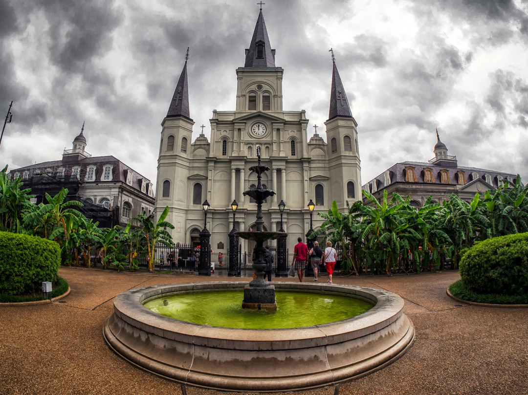  New Orleans Tourism Guide Pictures