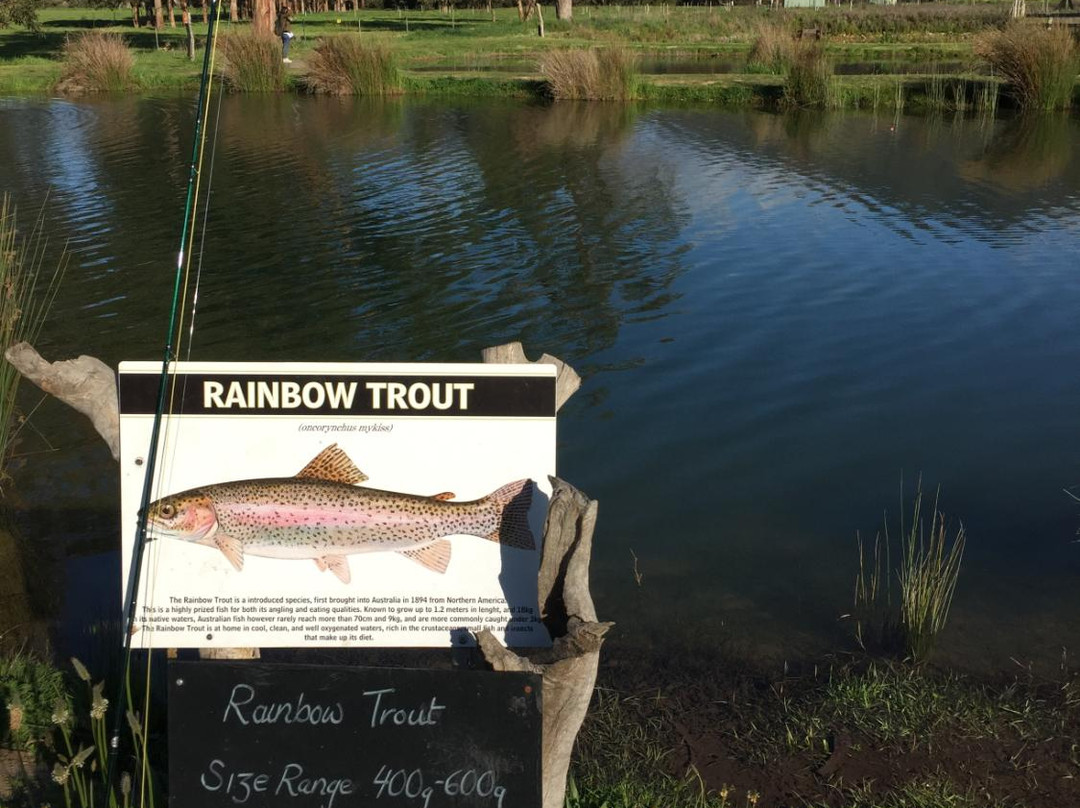 Eildon Trout Farm景点图片