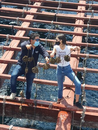 Cruceros de Arosa-格罗韦必去景点