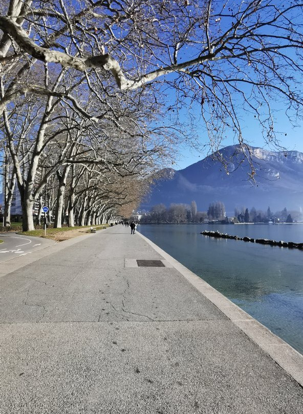 Parc Charles Bosson-安纳西必去景点