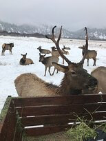 Idaho Sleigh Rides景点图片