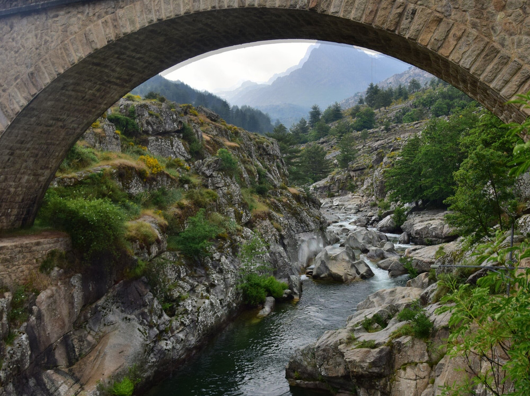 Ponte Altu景点图片