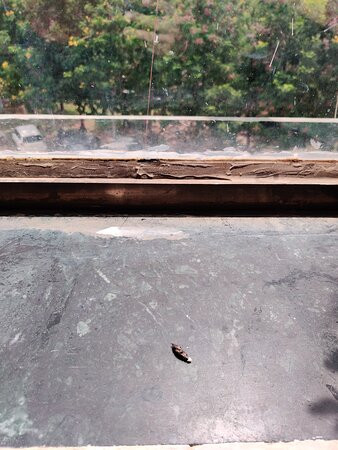 The Palm Resort主图