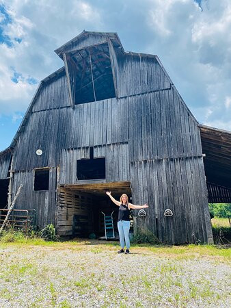 The Hopestead Bed & Breakfast主图