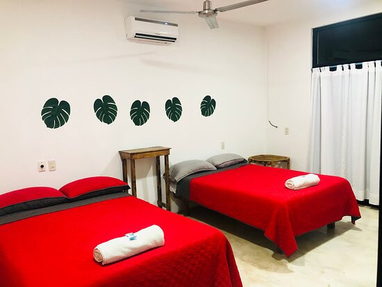 Hotel Casa Colombre Palenque主图