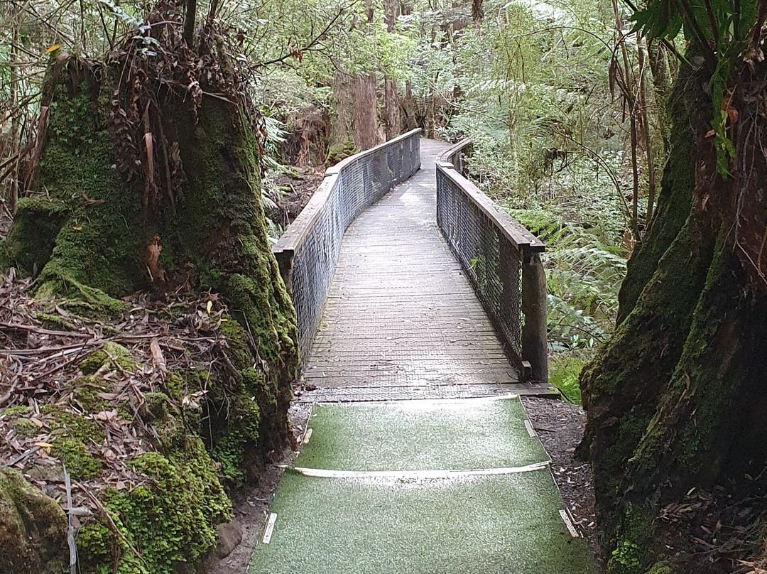 Newdegate Cave Track景点图片