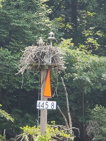 River Gorge Excursions-查塔努加必去景点