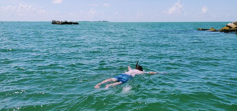 Nature Coast Excursions-Holmes Beach必去景点