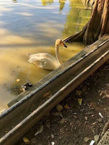 Oasi Naturalistica-Tortoreto必去景点