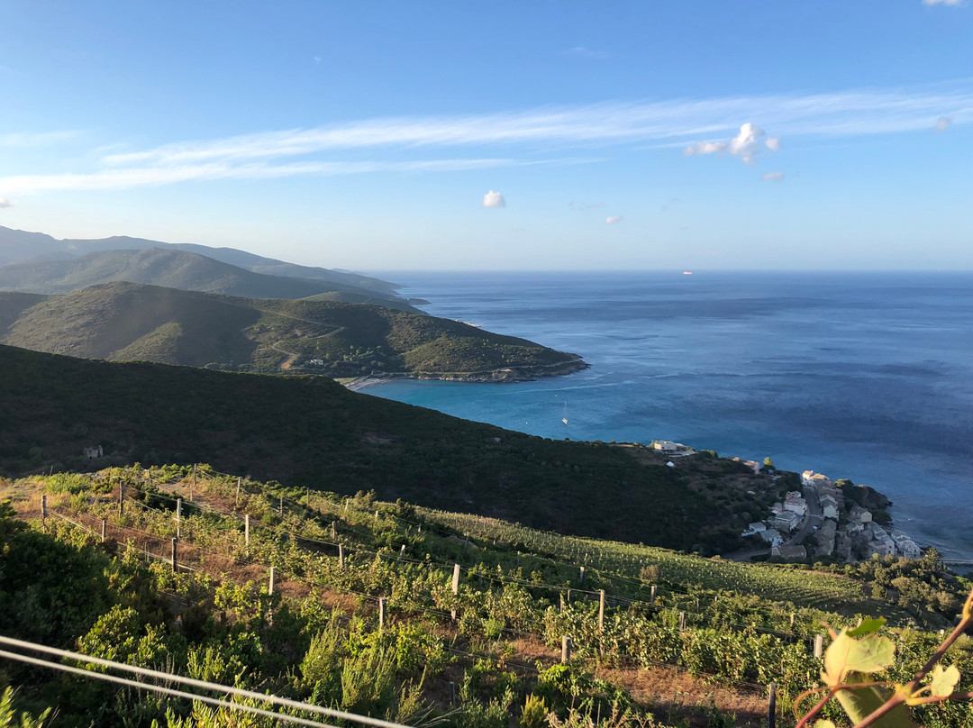 Domaine Terra di Catoni景点图片