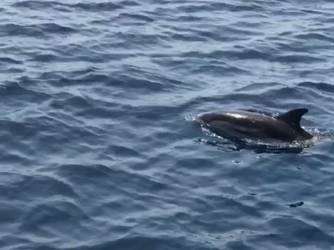 Sicily Sailing Experience-陶尔米纳必去景点