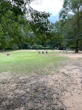 7 Acre Wood-Conroe必去景点