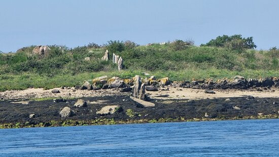 Iles et Rivages-La Trinite-sur-Mer必去景点
