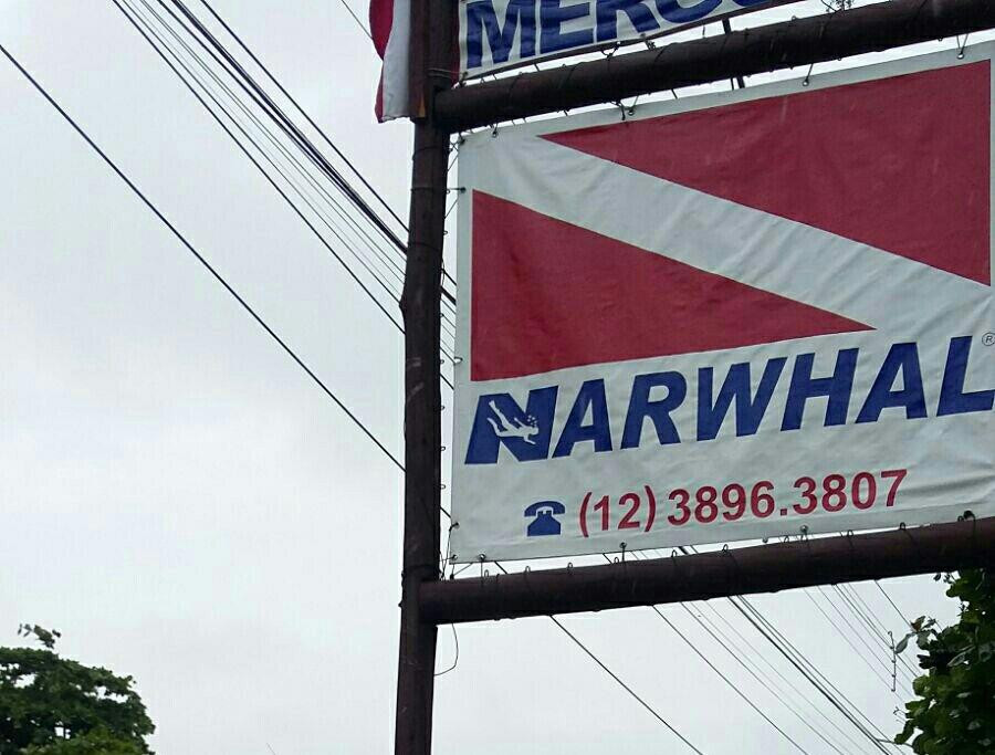 Narwhal-伊利亚贝拉必去景点