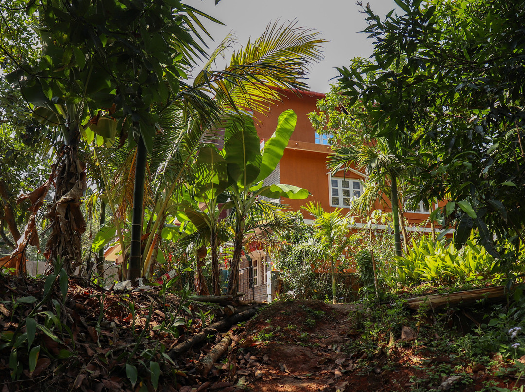 Aavi Home Stay