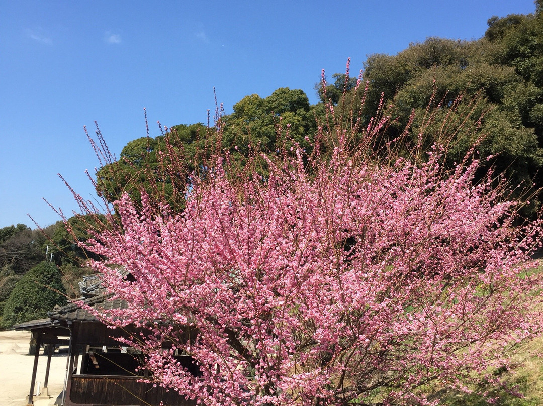 Ushinoo Shrine-小城市必去景点