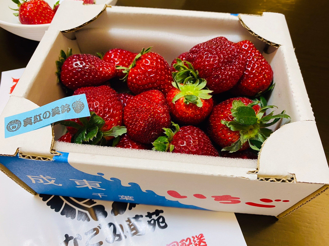 Nagomi The Strawberry Garden