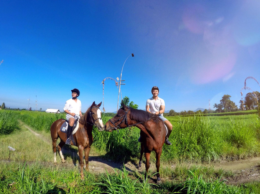 Ubud Horse Stables-德格拉朗必去景点