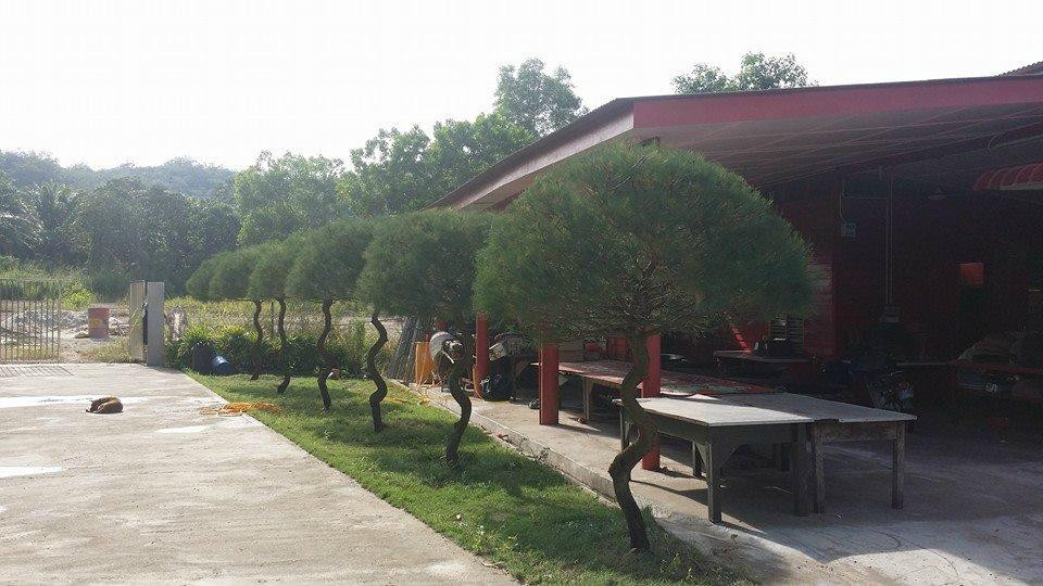 Raub旅游攻略图片