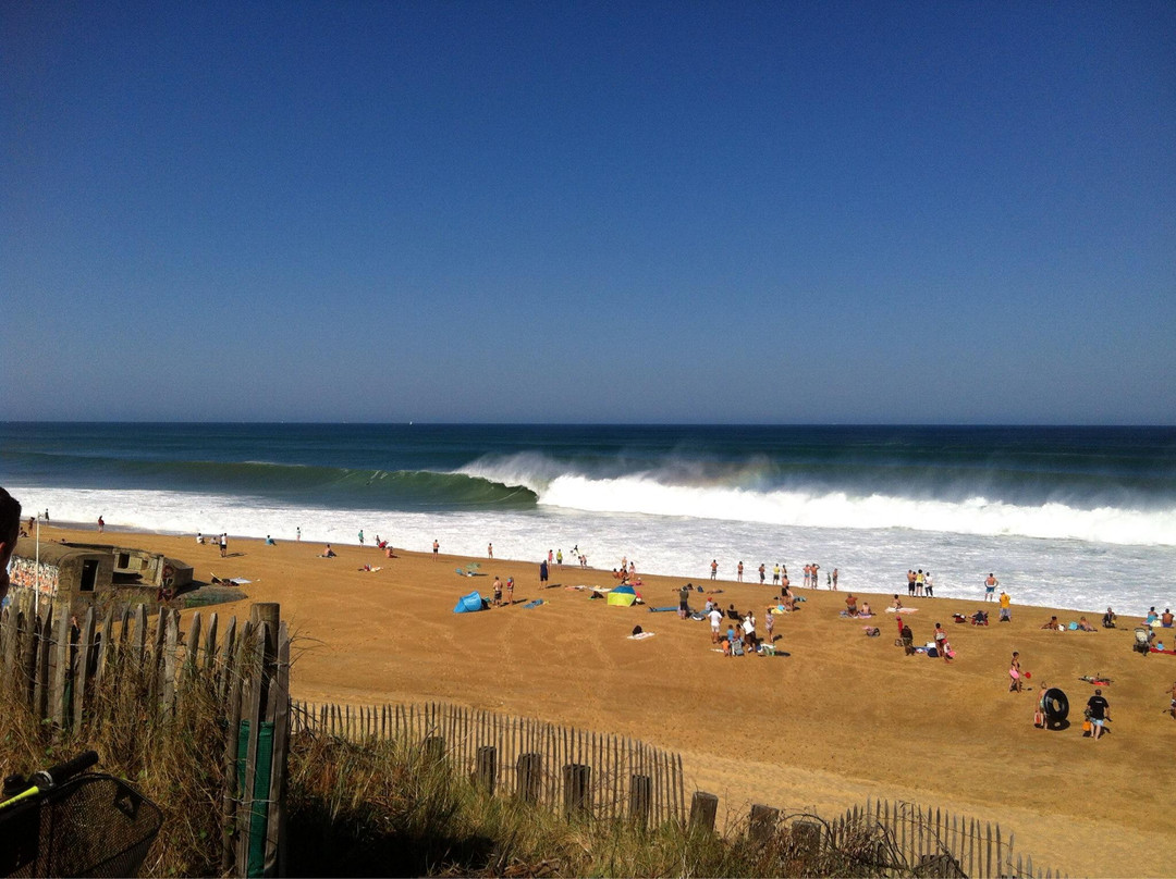 Labenne旅游攻略图片