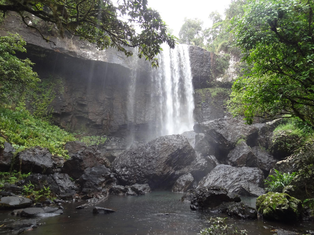 Millaa Millaa旅游攻略图片