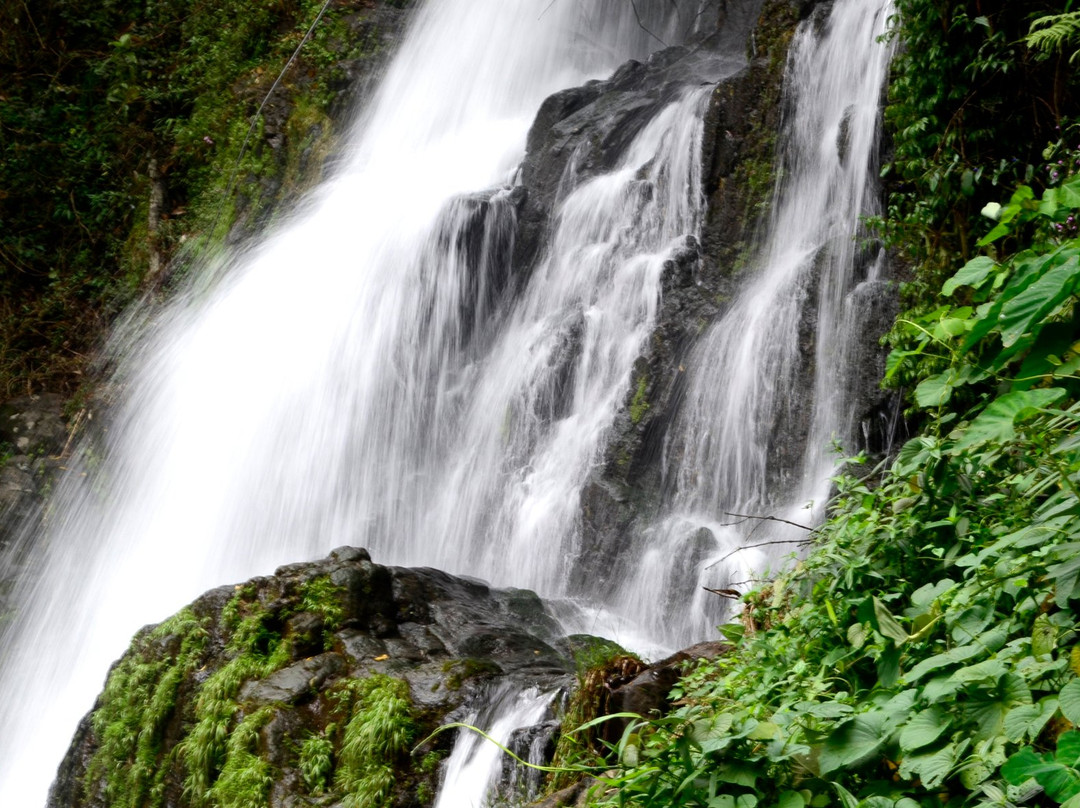 Valanjamkanam Water Falls景点图片