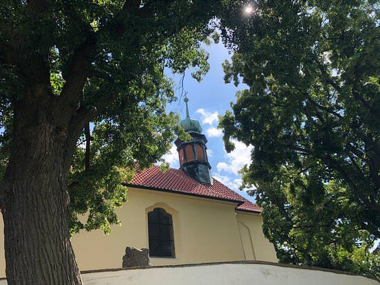 Zřícenina hradu Tetín景点图片
