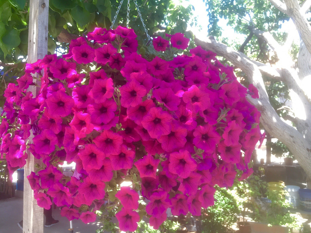 大连小黑山-大连市必去景点