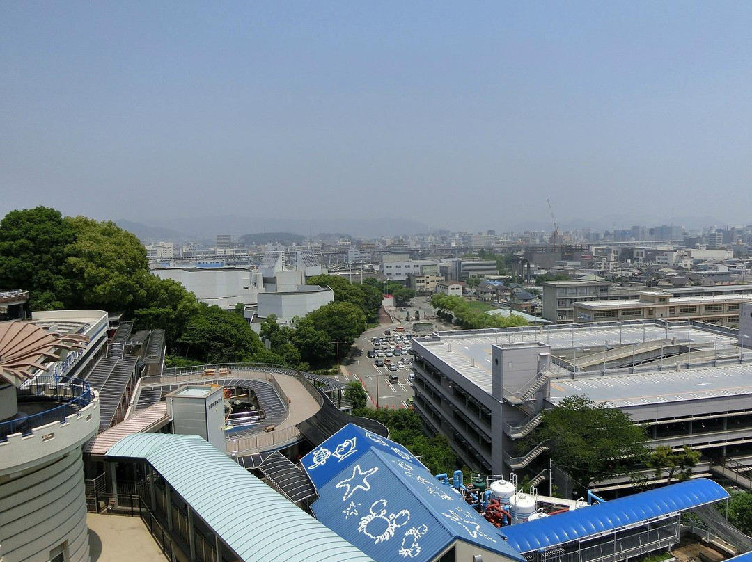 Himeji City Aquarium景点图片