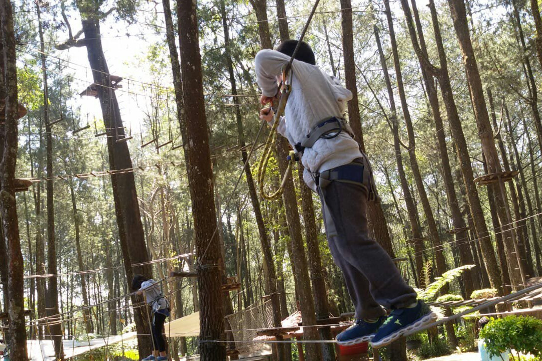 Kopeng Treetop Adventure Park景点图片