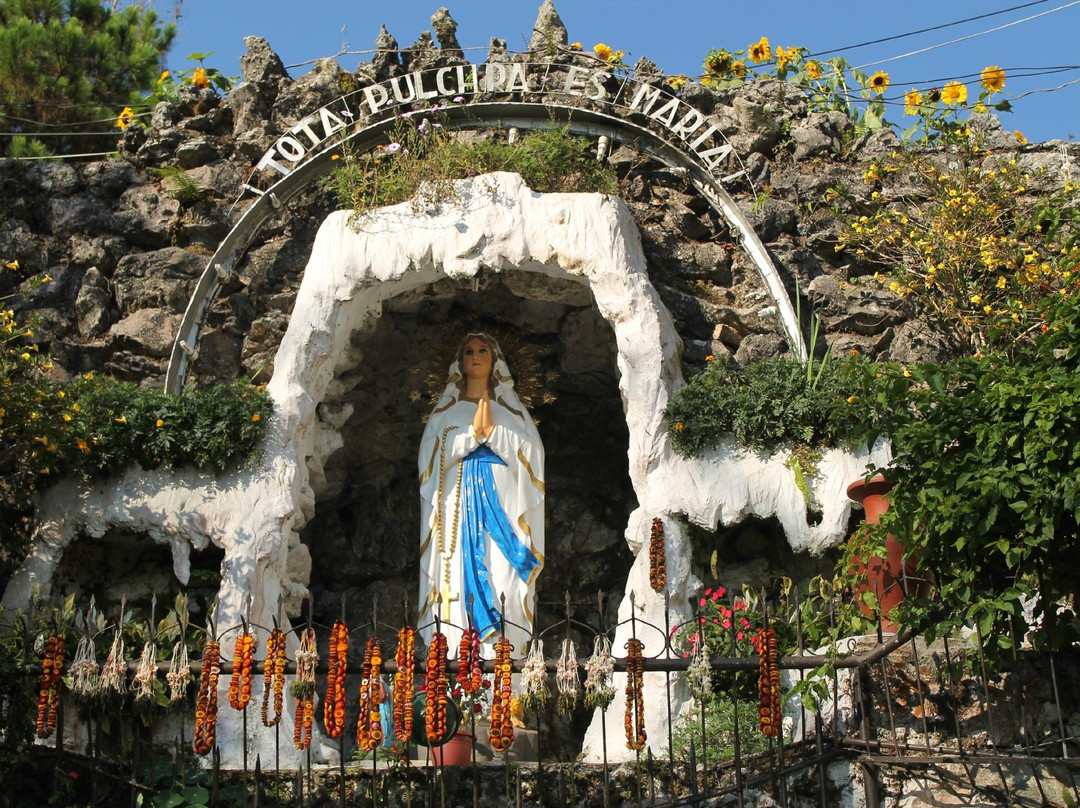 Our Lady of Lourdes Grotto景点图片