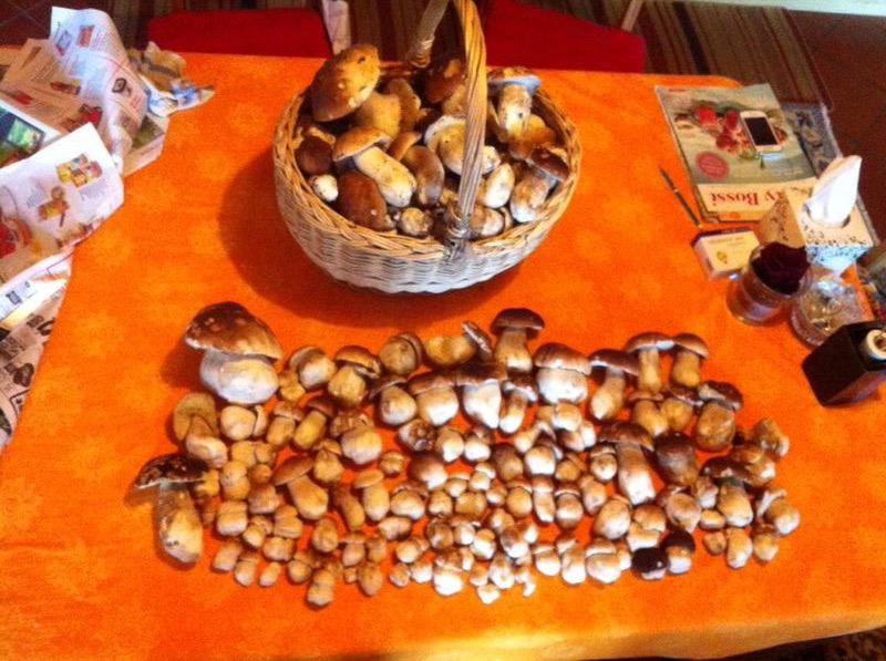 Porza餐馆和美食-Osteria Reseghina