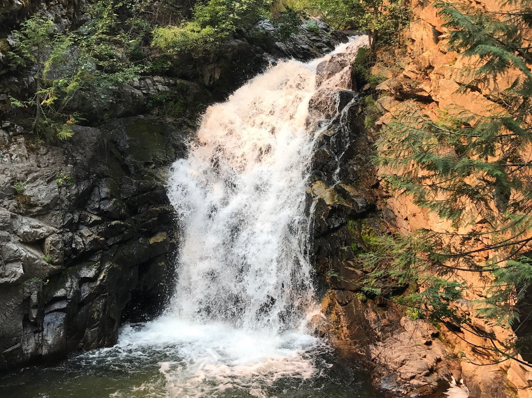 Falls Creek Falls Trail Head景点图片